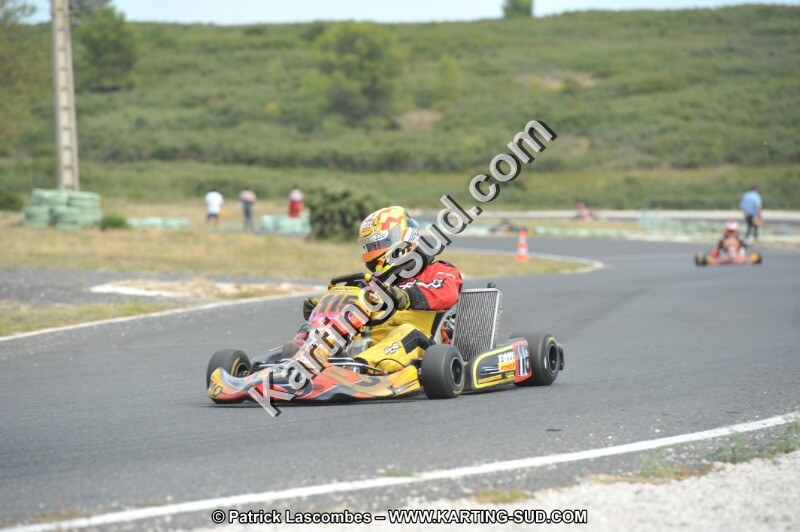 DSC (3518).JPG
